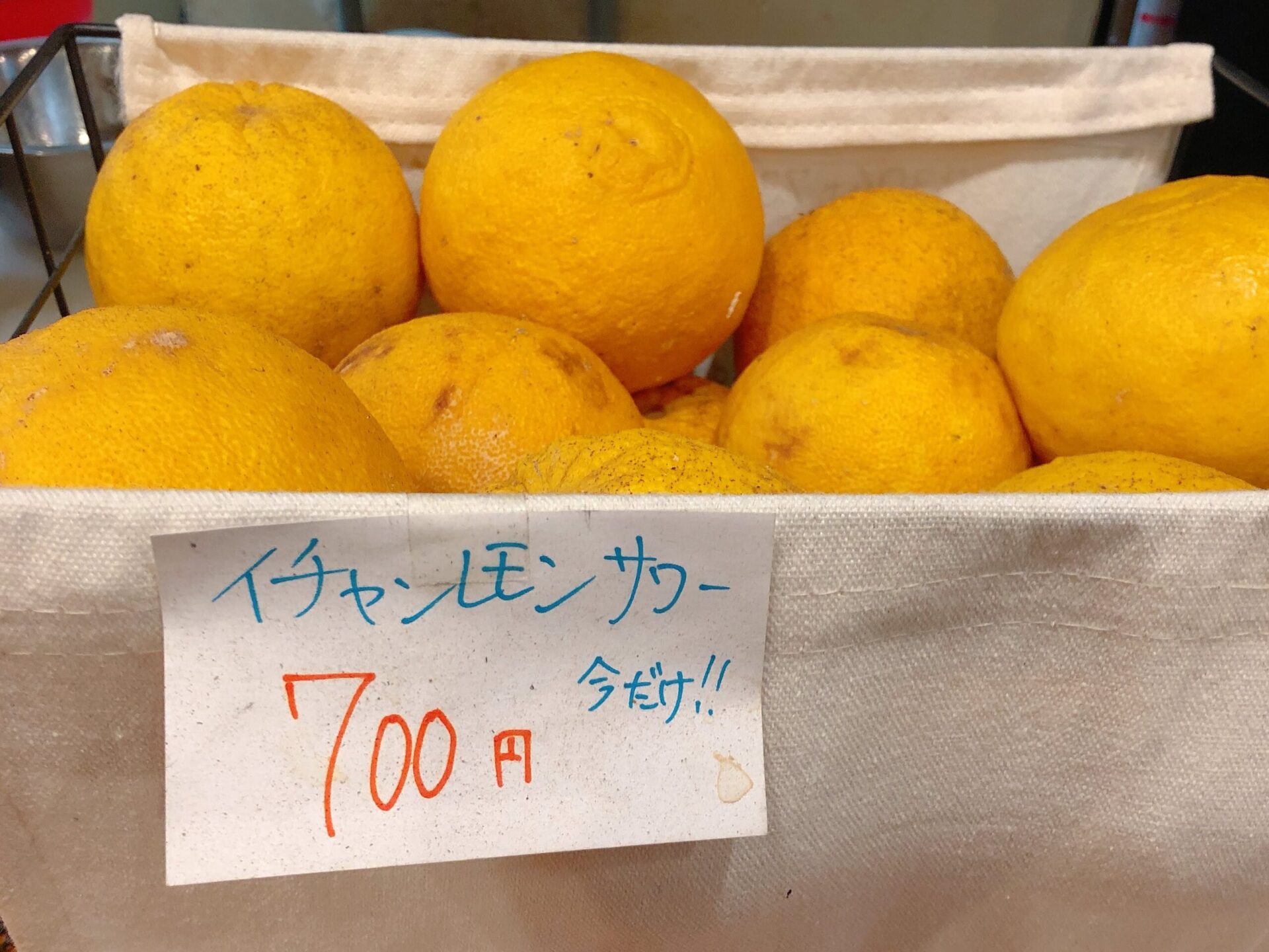 イチャンレモンサワー（700円）