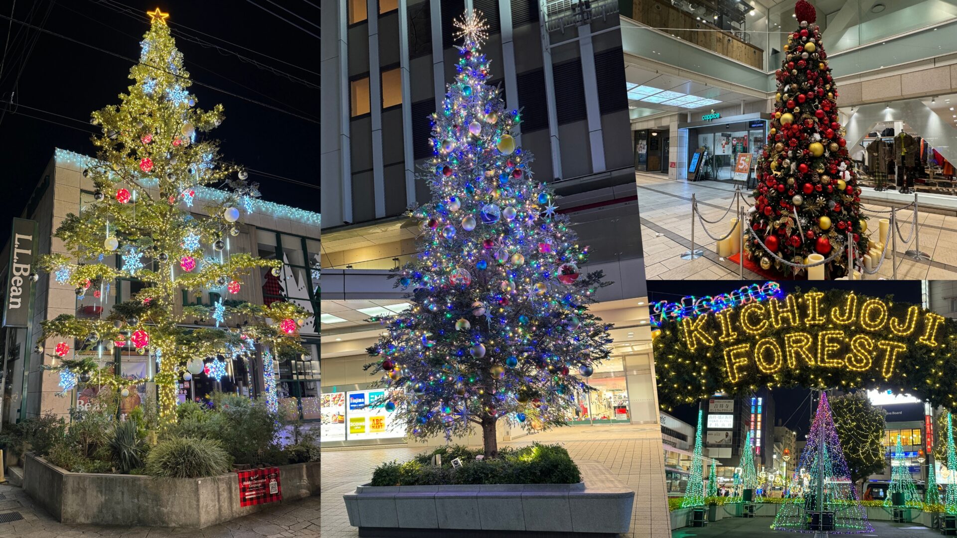   クリスマスツリー 2023 MY PLAZA クリスマスツリー2023|【公式】東京都千代田区の観光