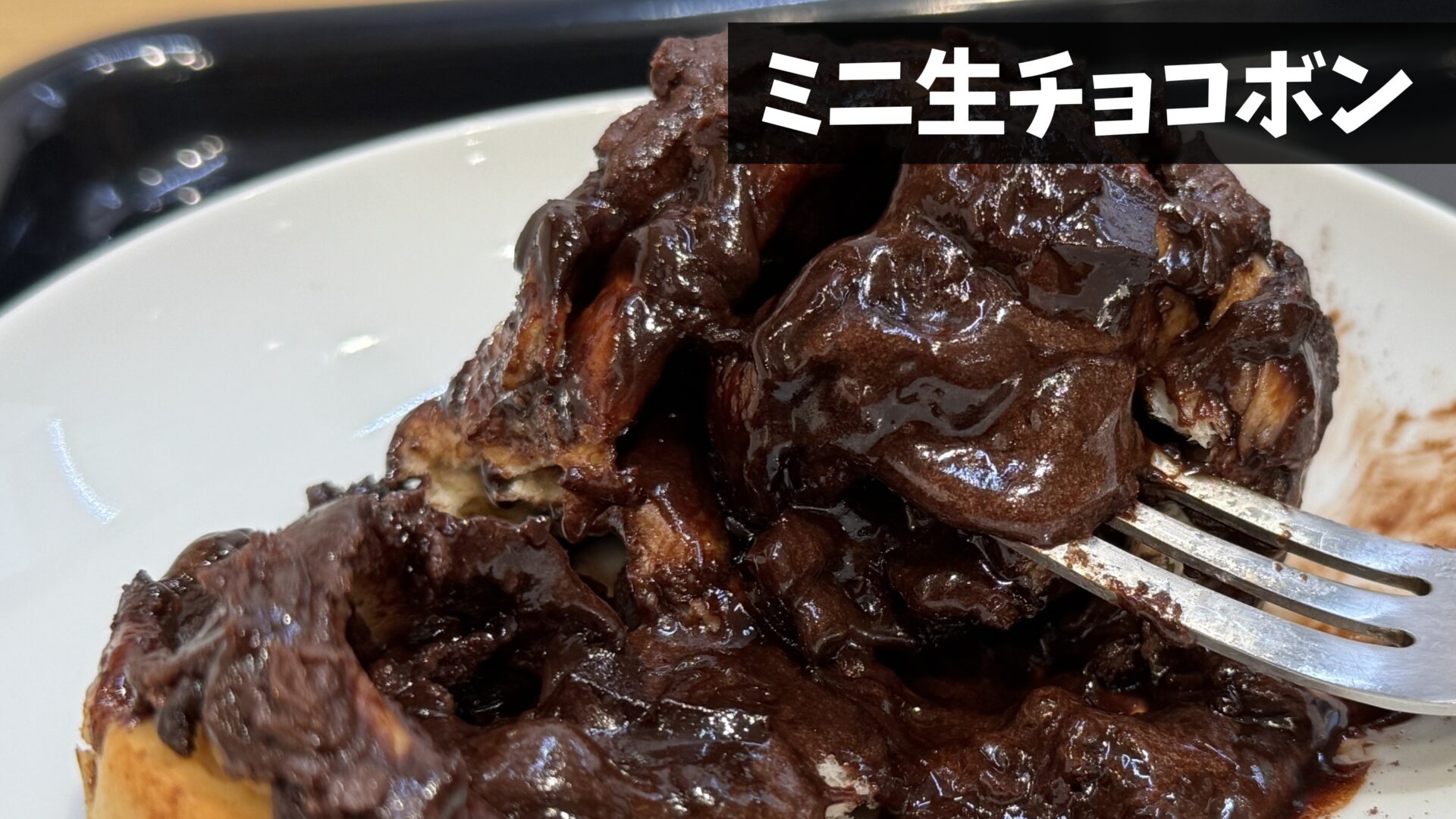 【ショコラ・シナモン】 シナモンショコラ (Cinnamon Chocolat) | 競走馬データ - netkeiba