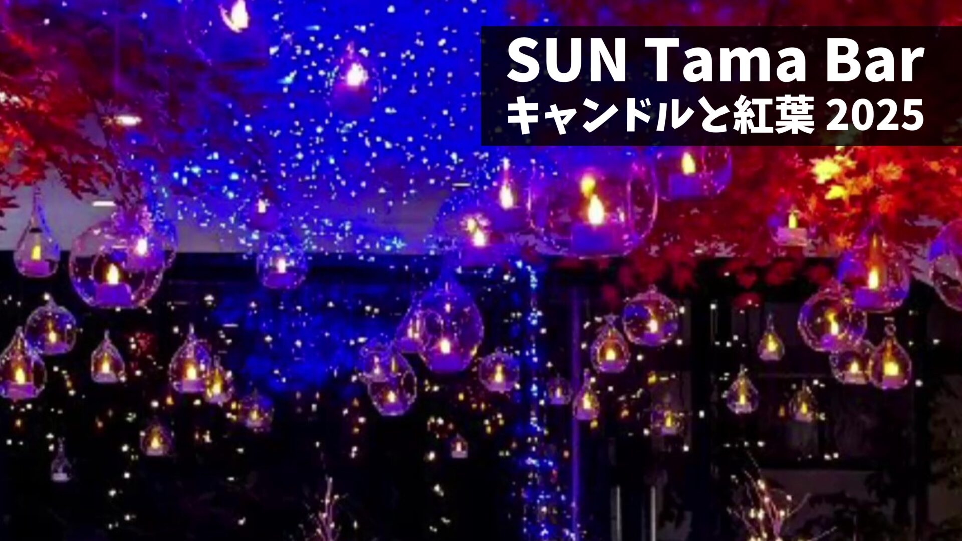 キャンドルと紅葉 2025