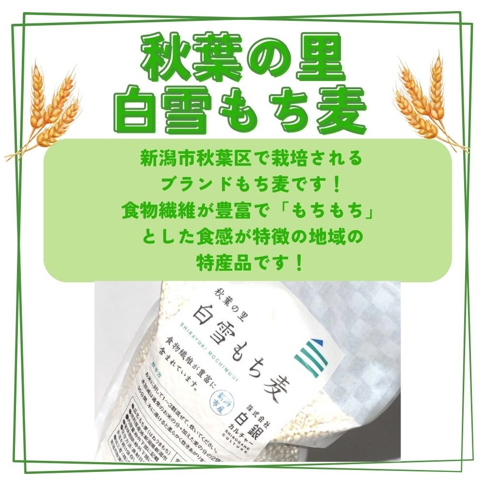 秋葉の里 白雪もち麦