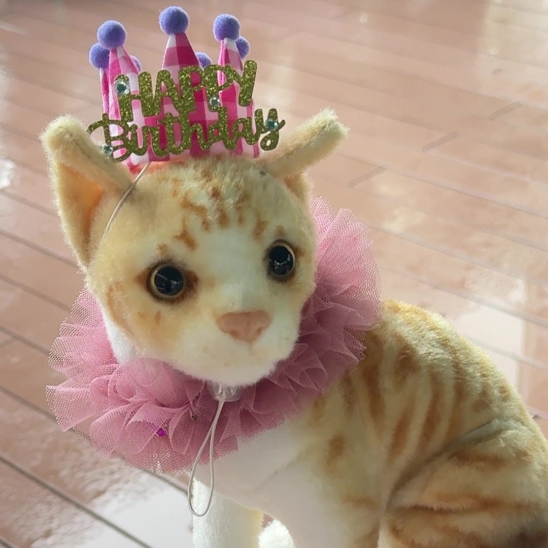 ニャンコの王冠