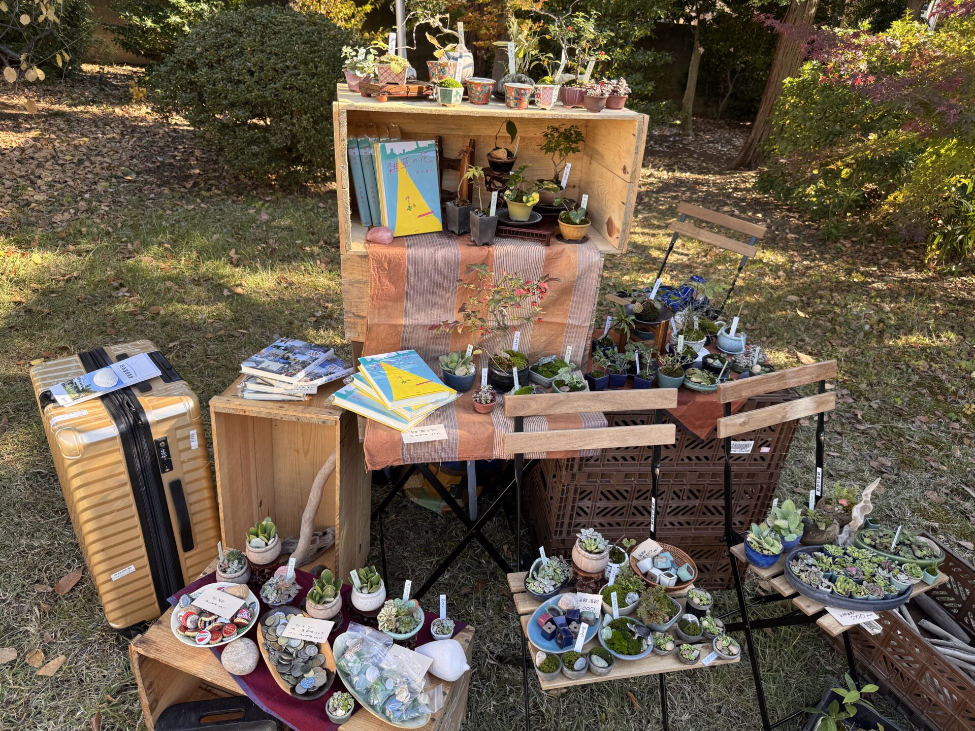 武蔵野という風景の中で、愛でる盆栽と流木と小説