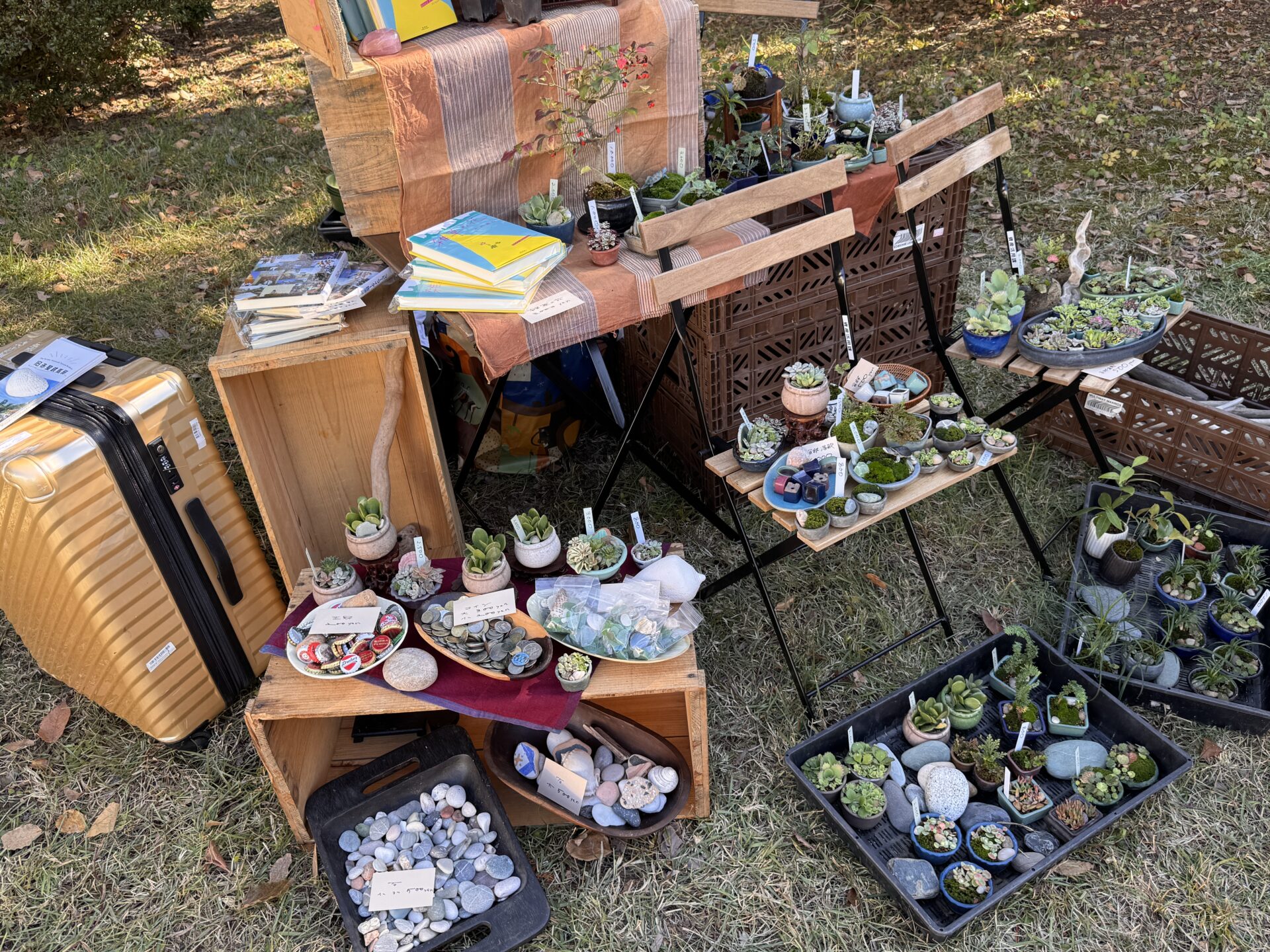 武蔵野という風景の中で、愛でる盆栽と流木と小説