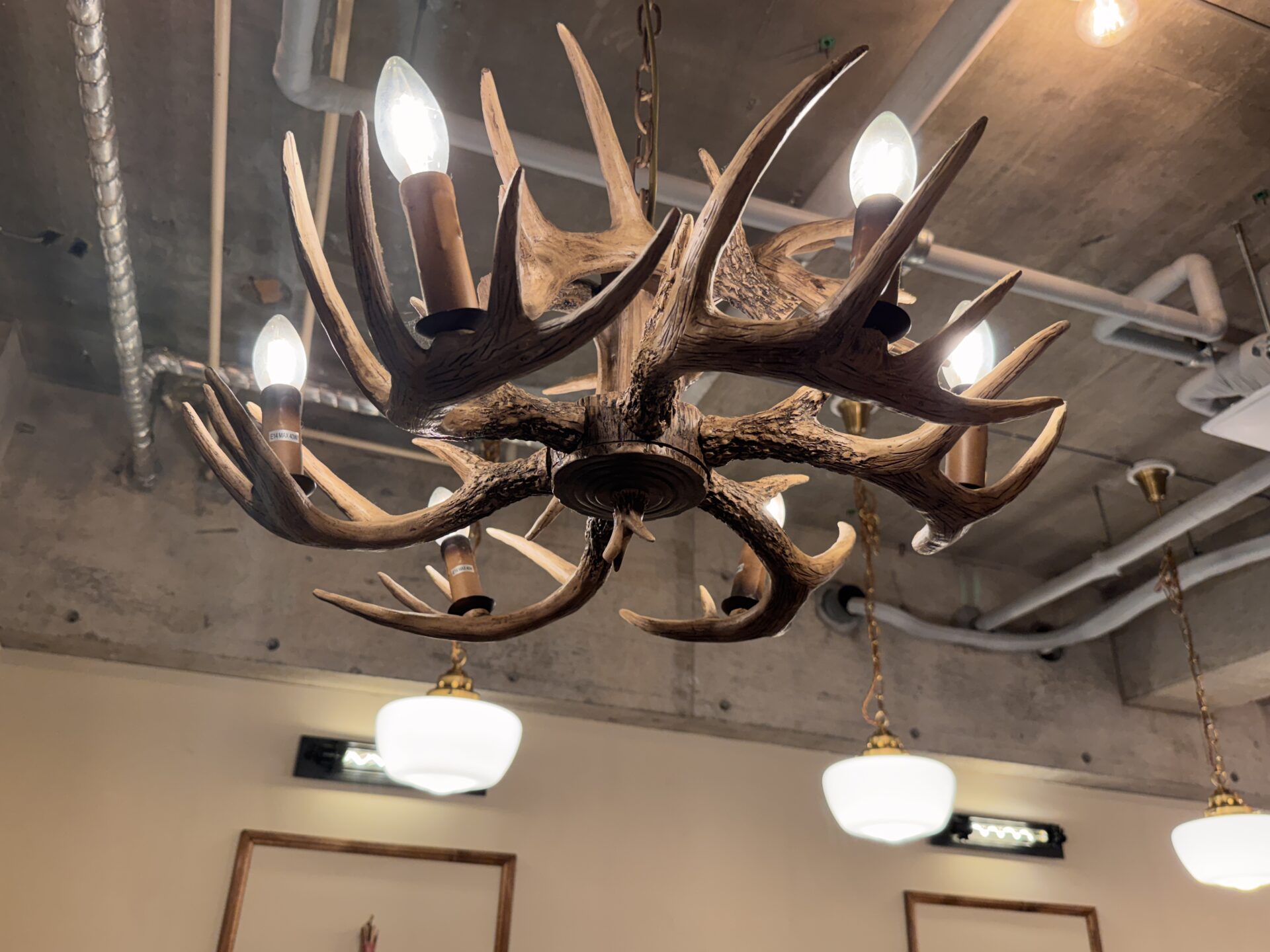 That's Lifeの店内