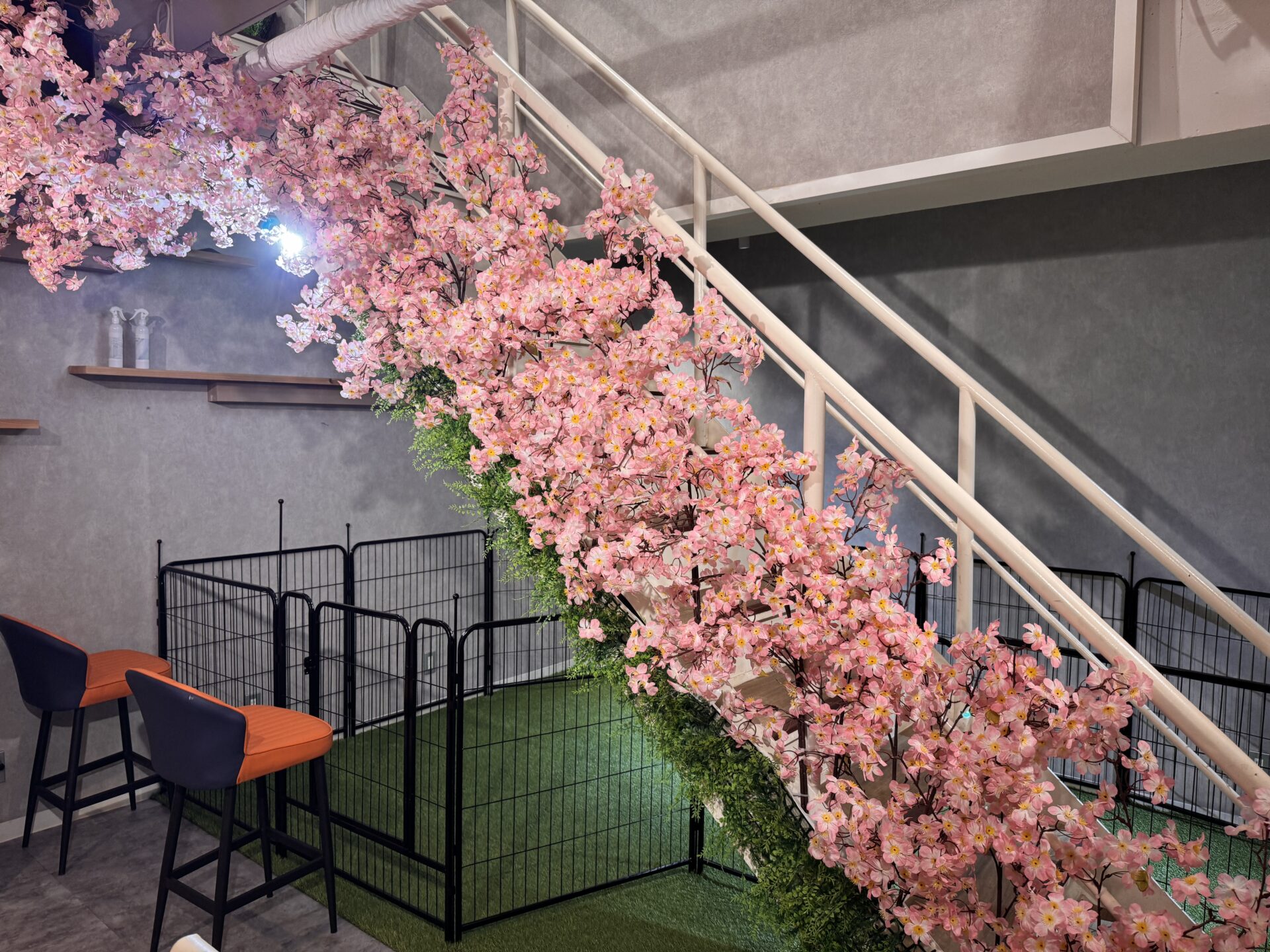 シャンシャン家麻辣湯の店内(地下1階)