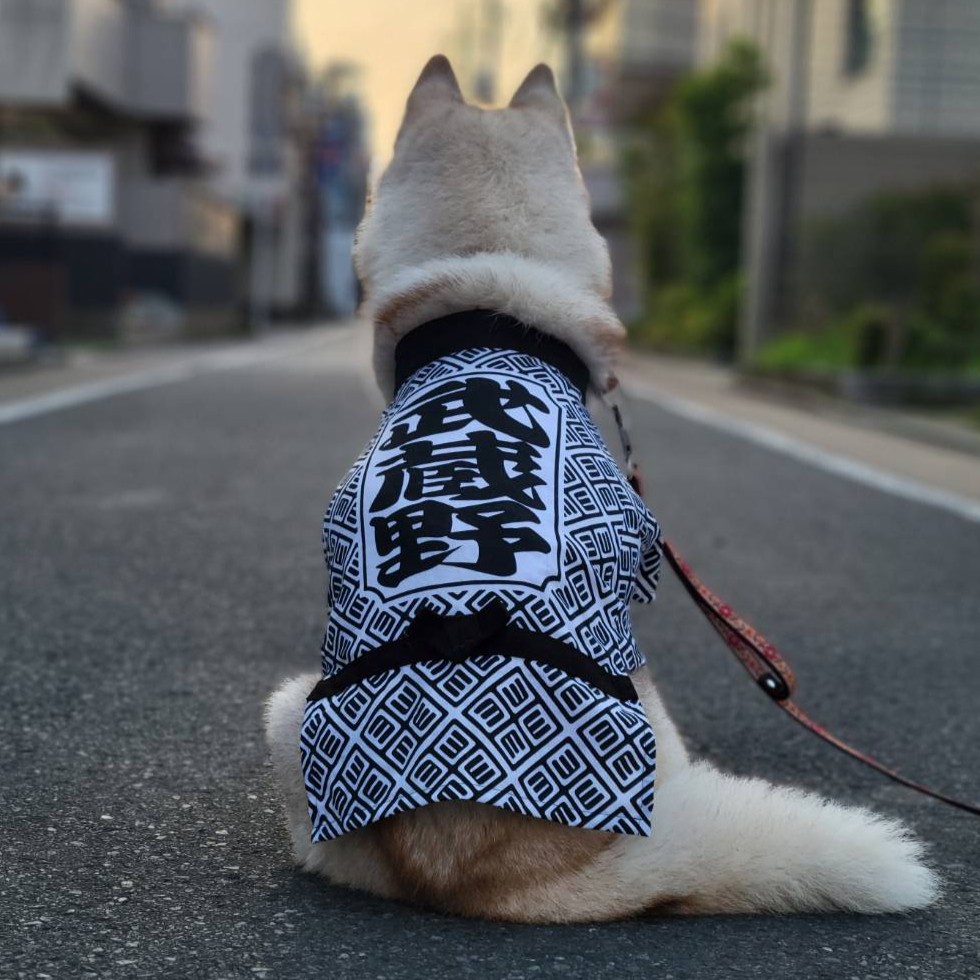 ワンちゃん用の吉祥寺半纏